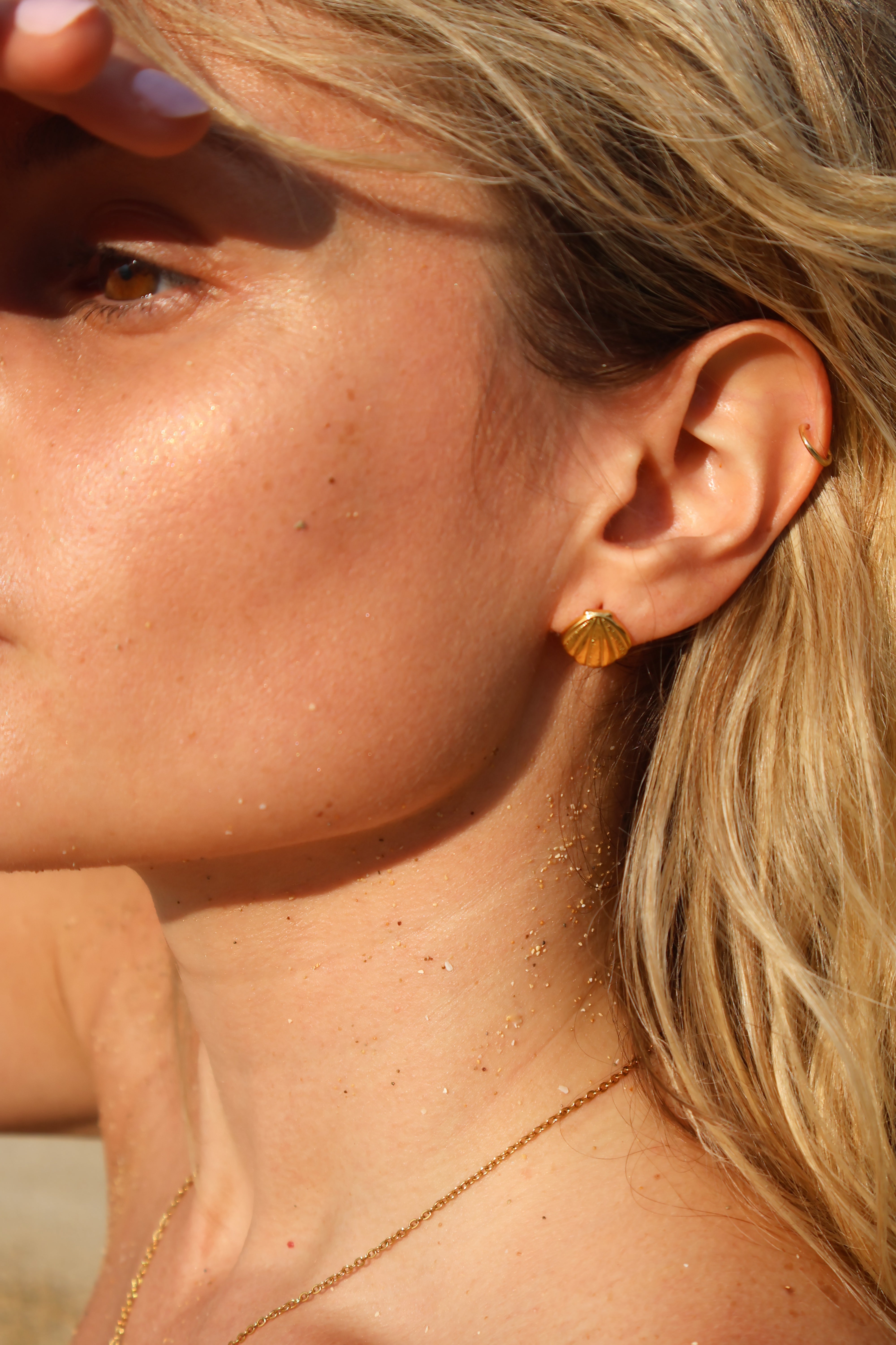 Capri Shell Studs
