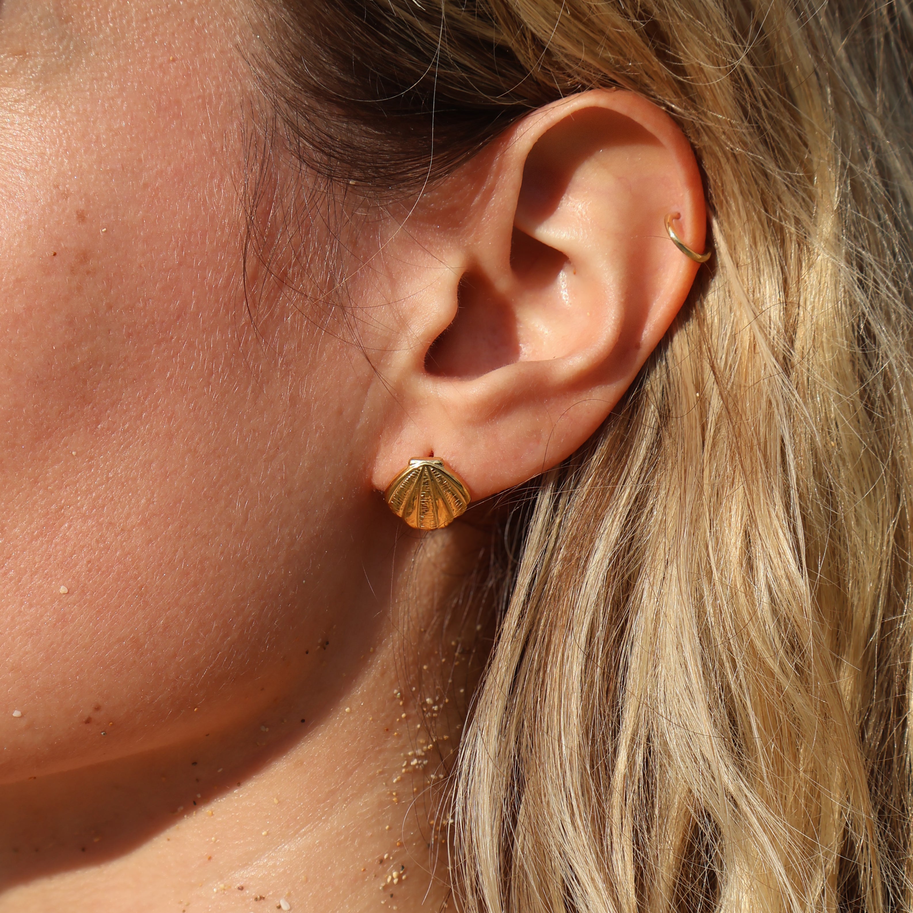 Capri Shell Studs