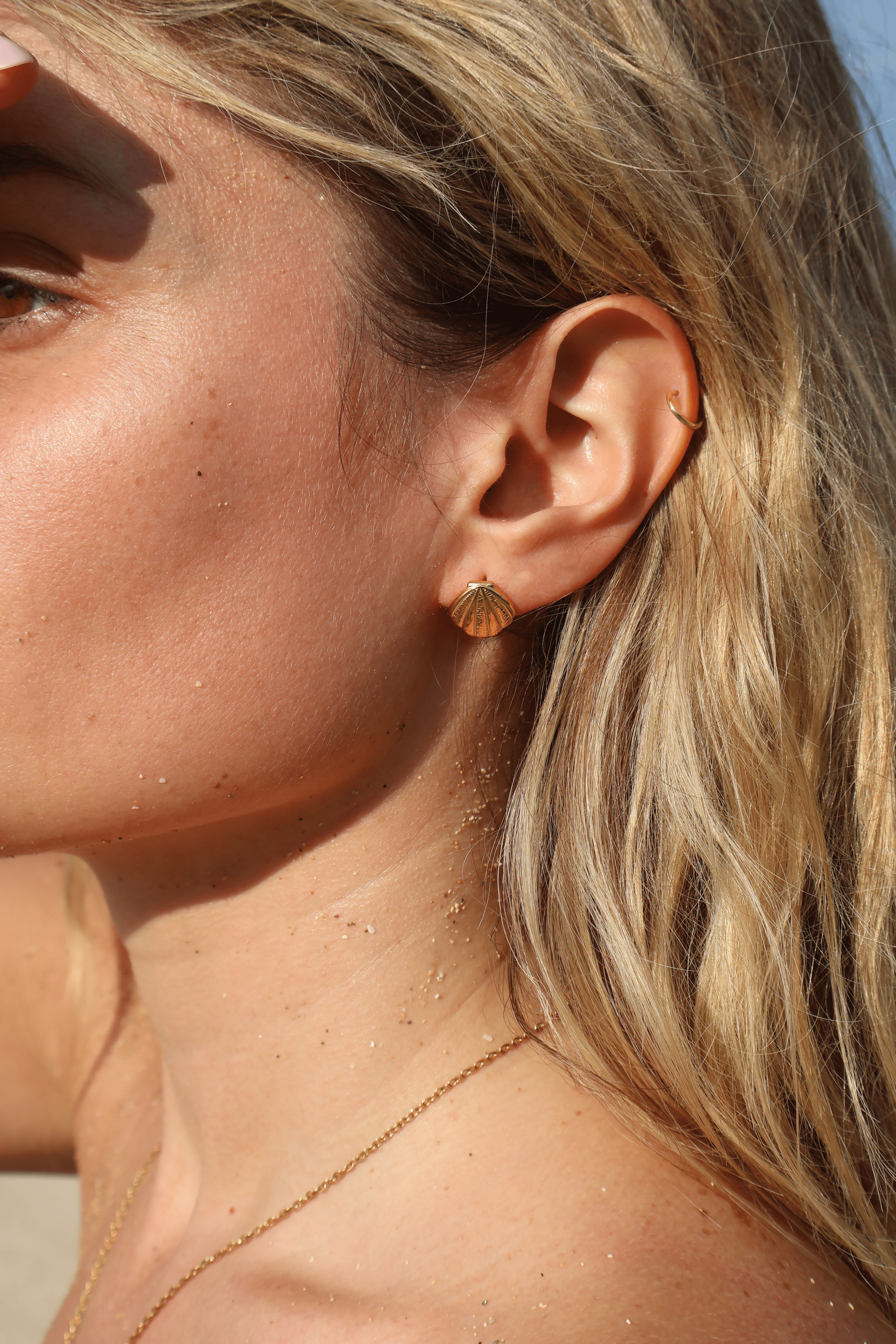 Capri Shell Studs